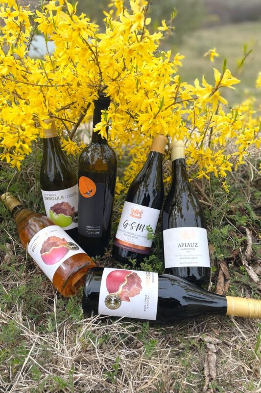 Винен пакет - Пролет 2026-3