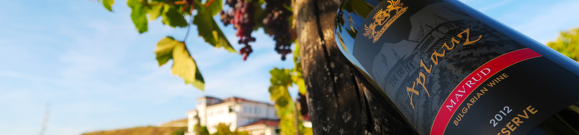 vinen_tourism_1