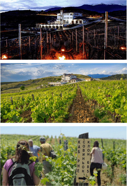 635fbe422936c26f64ba10fb_Places1-p-500 (1)