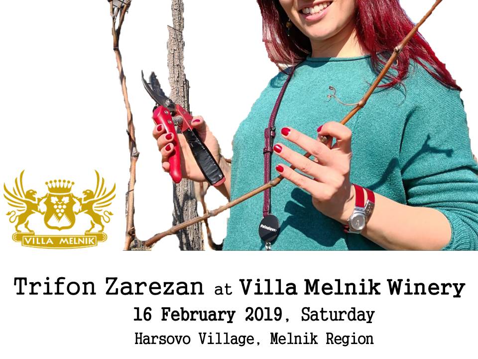 Trifon-Zarezan-at-Villa-Melnik-Winery