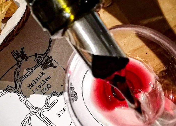 Villa Melnik Family Tree