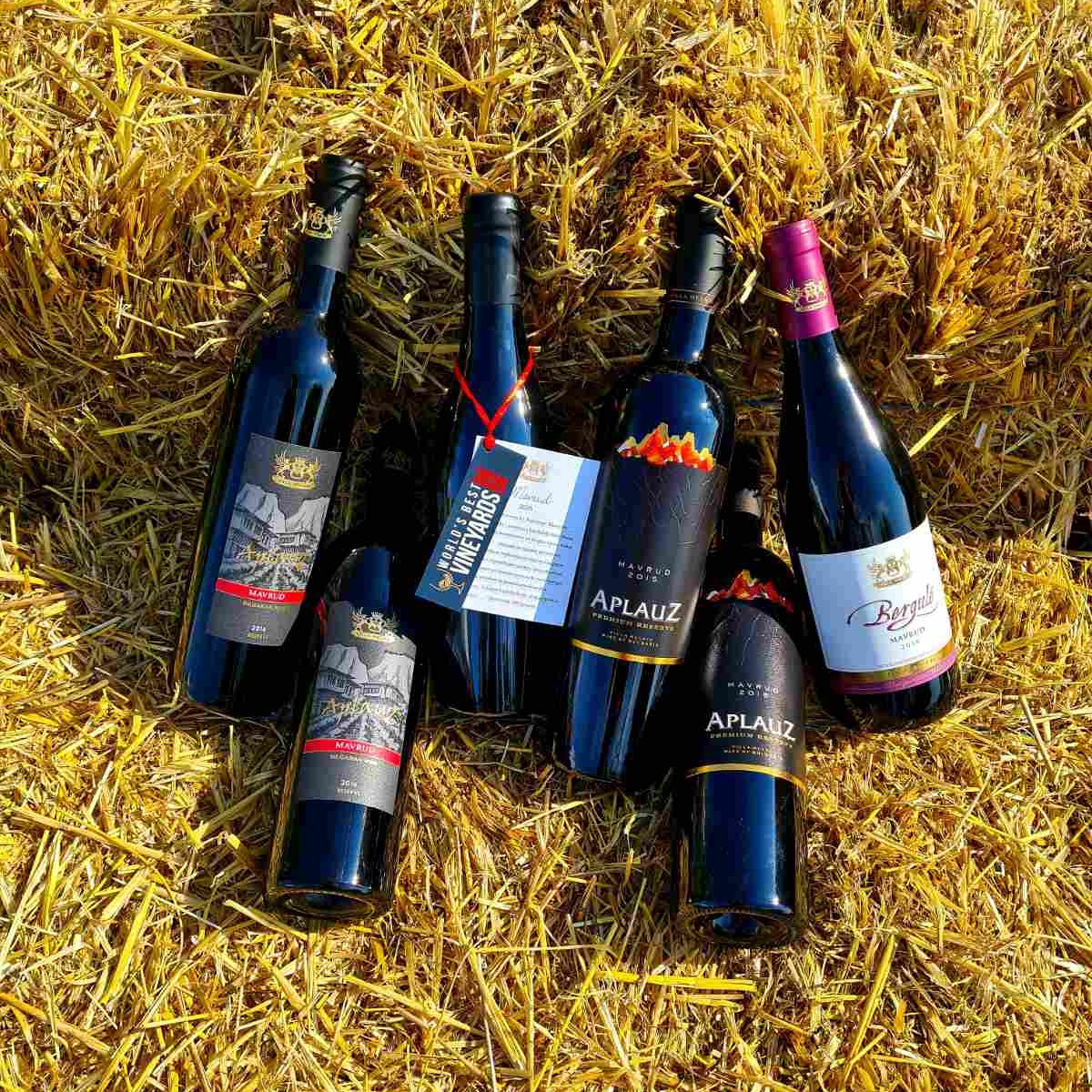 Villa-Melniks-Mavruds-wine-package