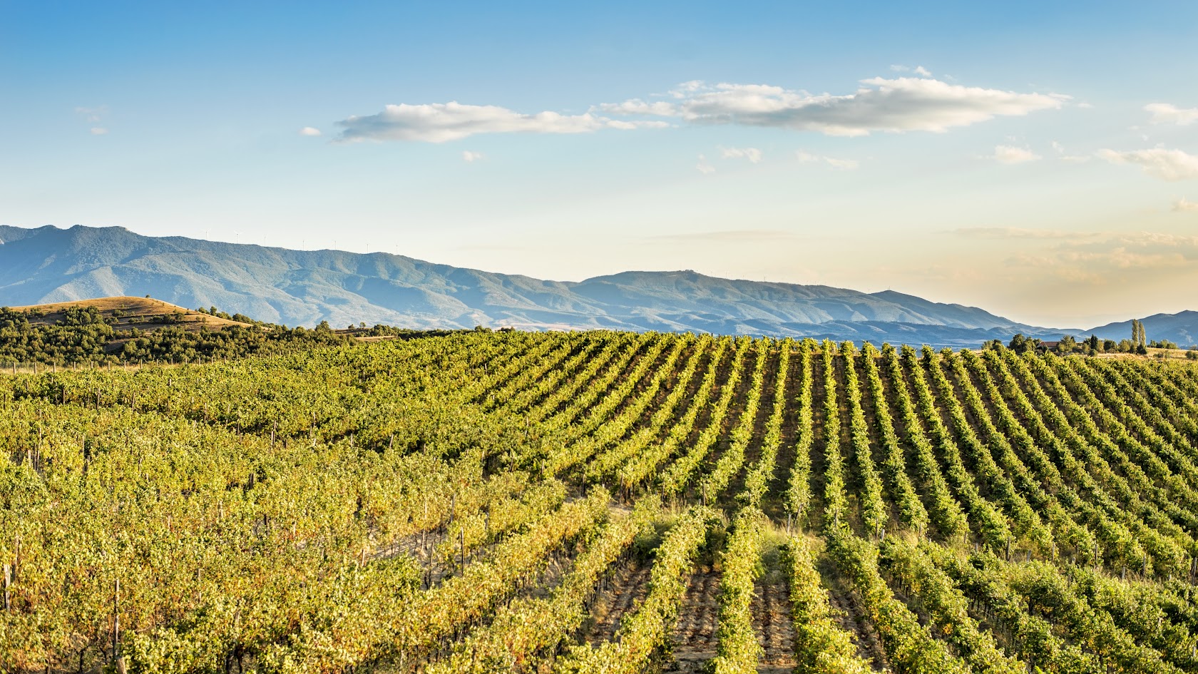 Villa_Melnik_Part2_5