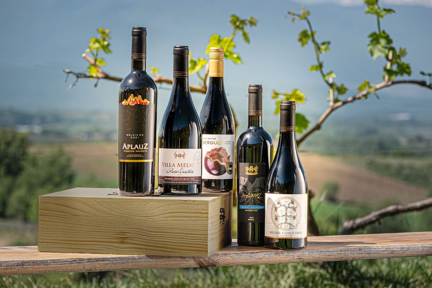 rossen – red wines 2025