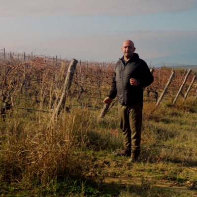 2026-Zatrevyavane_na_lozyata