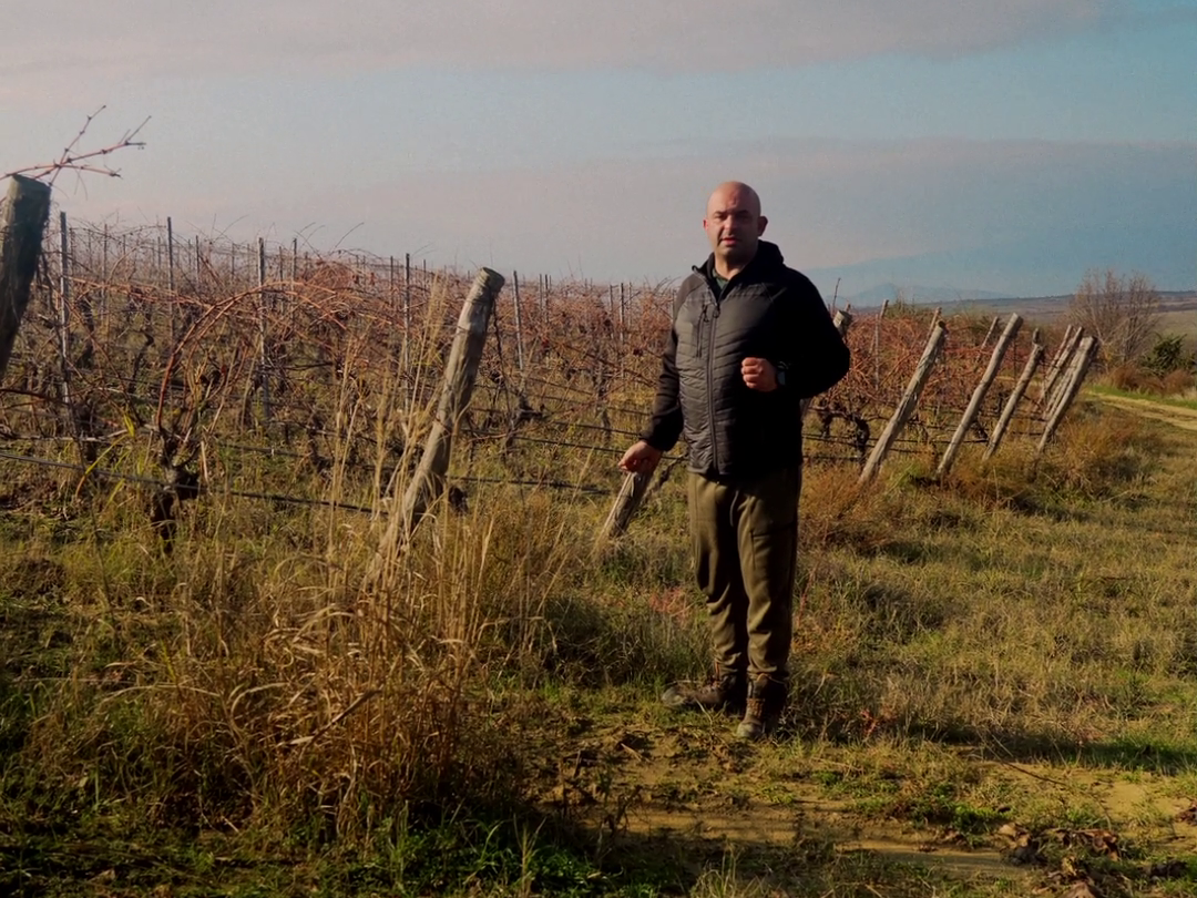 2026-Zatrevyavane_na_lozyata