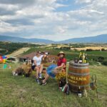 July Мелник - 2026-new-5