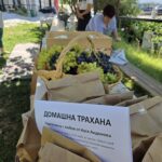 Домашна трахана