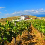 Villa-Melnik-Winery-snip